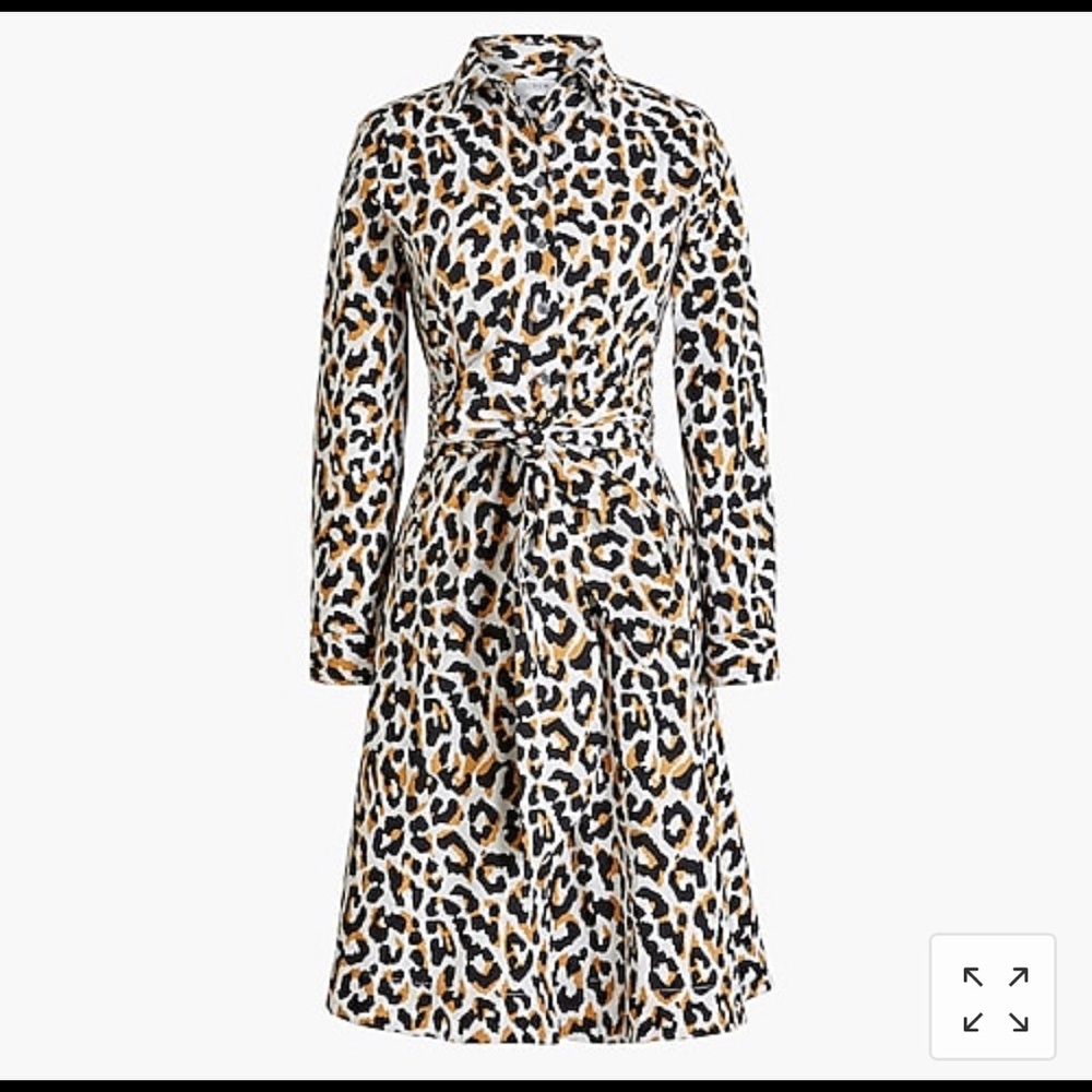 Leopard Print Dress